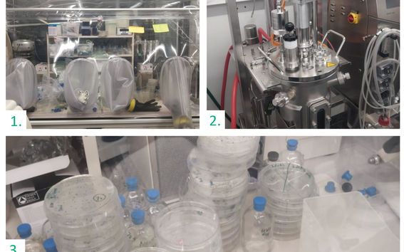 Anaerobic microbiology