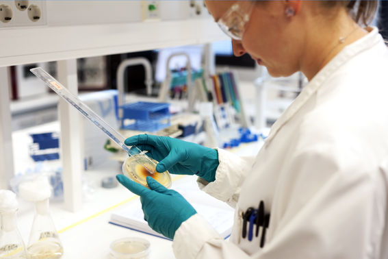 Studying biotechnology