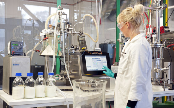 studying chemical engineering