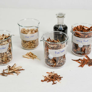 Lignocellulose samples by Mohamed Magd. Photo: Valeria Azovskaya