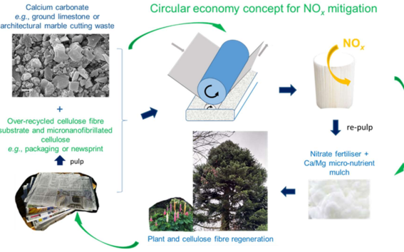 CHEM_Bio_Circular economy