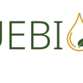 ValueBioMat logo